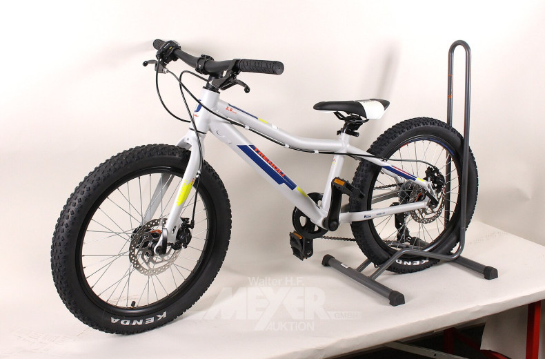 Kinder-Mountainbike, hellgrau