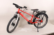 Kinderfahrrad, rot, 20 Zoll