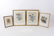 kl. Posten versch. Bilder u.a. Pflanzendarstellungen, Einzelrahmung