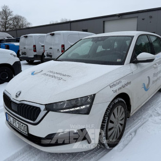 Skoda Scala 1.0 TSI Cool Plus, candy white