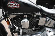 Harley-Davidson Softtail