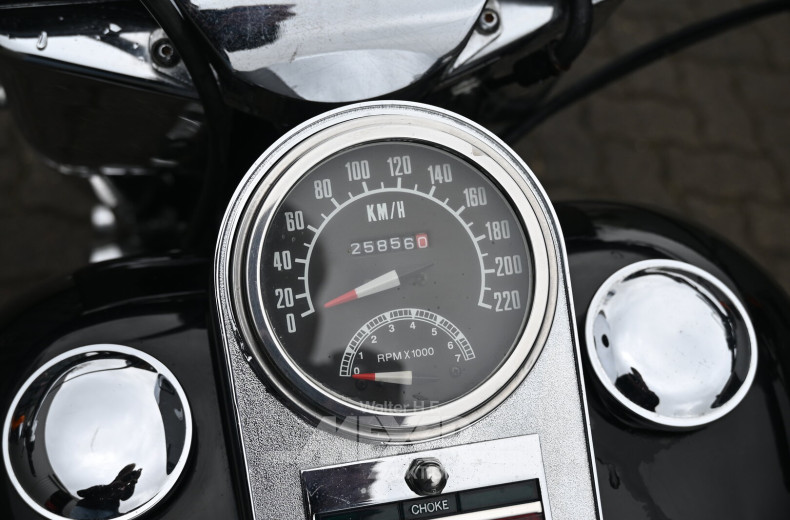 Harley-Davidson Softtail