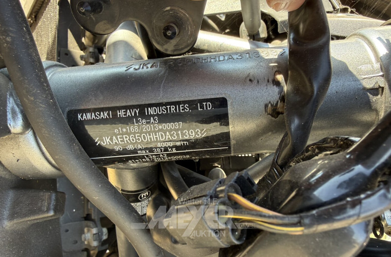 Kawasaki ER650H, grün, teilzerlegt