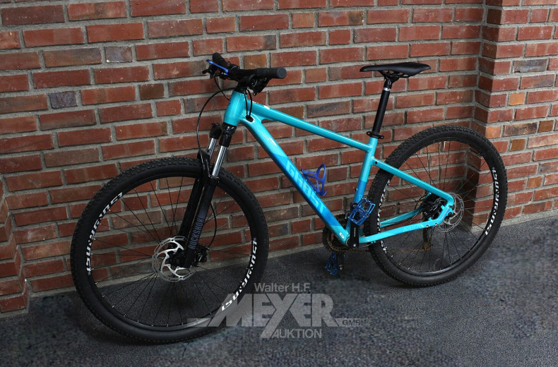 Mountainbike, türkis