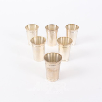 6 Schnapsbecher