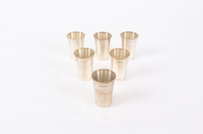 6 Schnapsbecher
