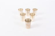 6 Schnapsbecher