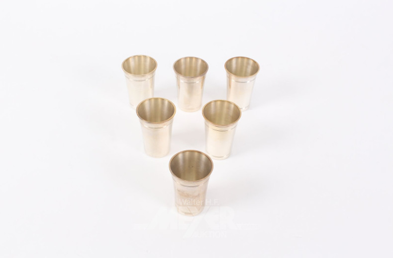 6 Schnapsbecher