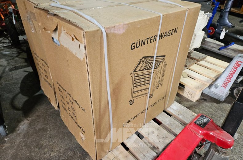 Werkstattwagen Günther