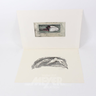 2 Druckgrafiken mit Vogelmotiv