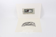 2 Druckgrafiken mit Vogelmotiv