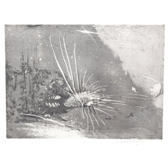 Paar Radierungen 'Igelfisch' u. 'Ohne Titel (kl. Boot)'