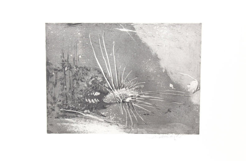 Paar Radierungen 'Igelfisch' u. 'Ohne Titel (kl. Boot)'