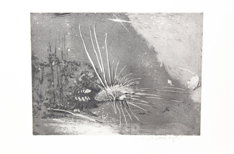 Paar Radierungen 'Igelfisch' u. 'Ohne Titel (kl. Boot)'