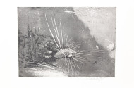 Paar Radierungen 'Igelfisch' u. 'Ohne Titel (kl. Boot)'