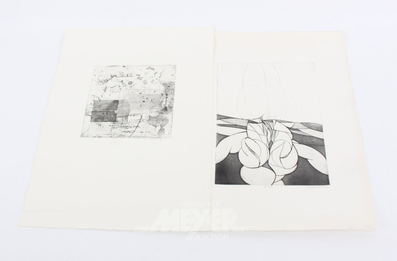 Mappe mit div. abstrakten u. landschaftlichen Radierungen, Lithographien etc.