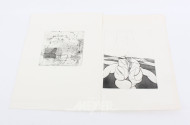 Mappe mit div. abstrakten u. landschaftlichen Radierungen, Lithographien etc.