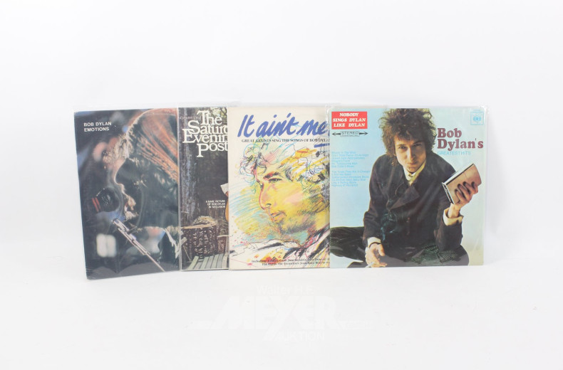 Schallplatten-Sammlung