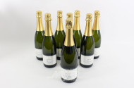 8 Flaschen Sekt
