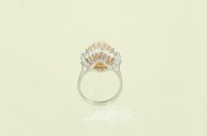 Ring mit Engelshautkoralle