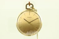 Taschenuhr mit Uhrenkette