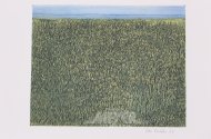 Farbradierung 'Landschaft'