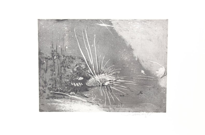 Paar Radierungen 'Igelfisch' u. 'Ohne Titel (kl. Boot)'