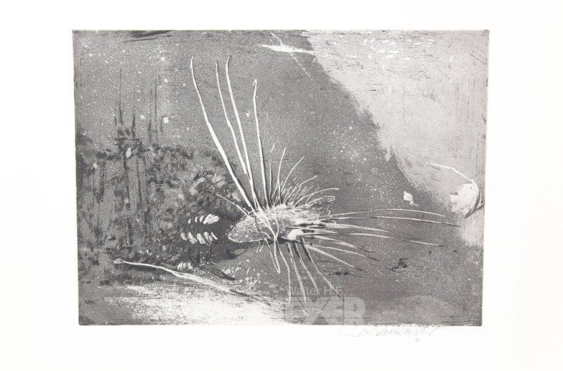 Paar Radierungen 'Igelfisch' u. 'Ohne Titel (kl. Boot)'