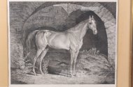 Stahlstich "Historische Pferdedarstellung"