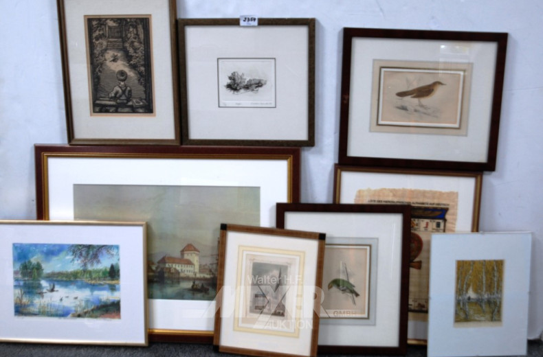 9 versch. Bilder u.a. Hamburg, Vögel,