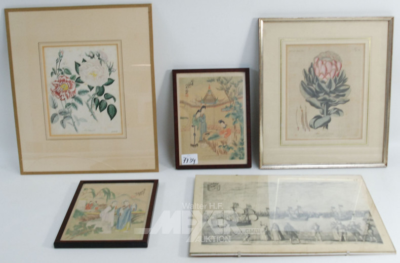 5 Asia- u. Pflanzenbilder