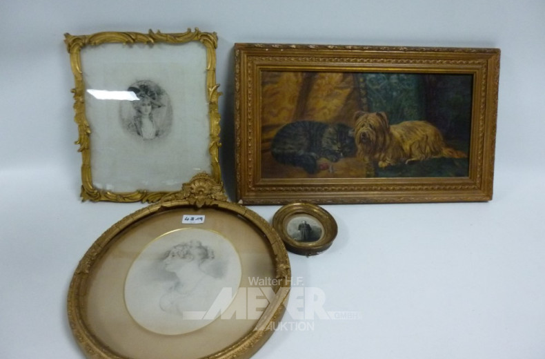 4 div. Bilder: Tiermotiv, Portraits