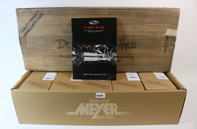 Elektrische Auspuffklappe