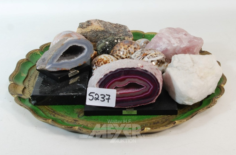 Posten Mineralien sowie Muscheln