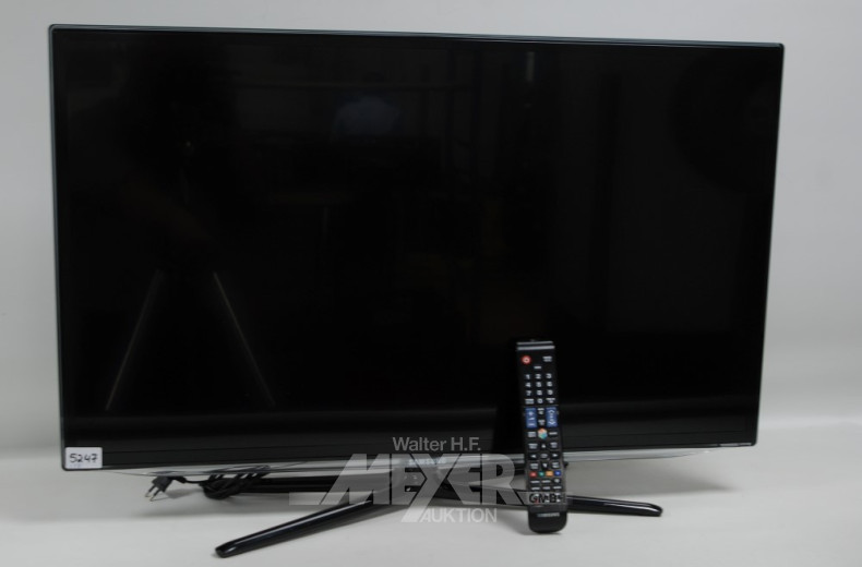 TV SAMSUNG mit Fernbedienung