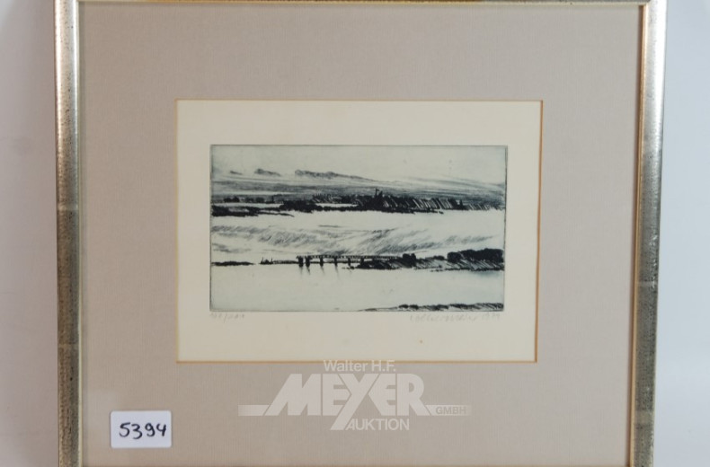 Radierung,rücks.betitelt