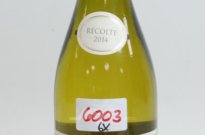 5 Flaschen Weißwein ''BOURGOGNE''