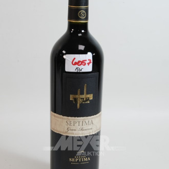 17 Flaschen Rotwein ''Septima''