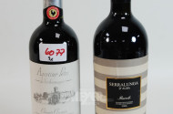 2 Flaschen Rotweine Italien Barolo