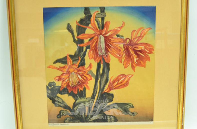 Farbholzschnitt ''Kaktus'',