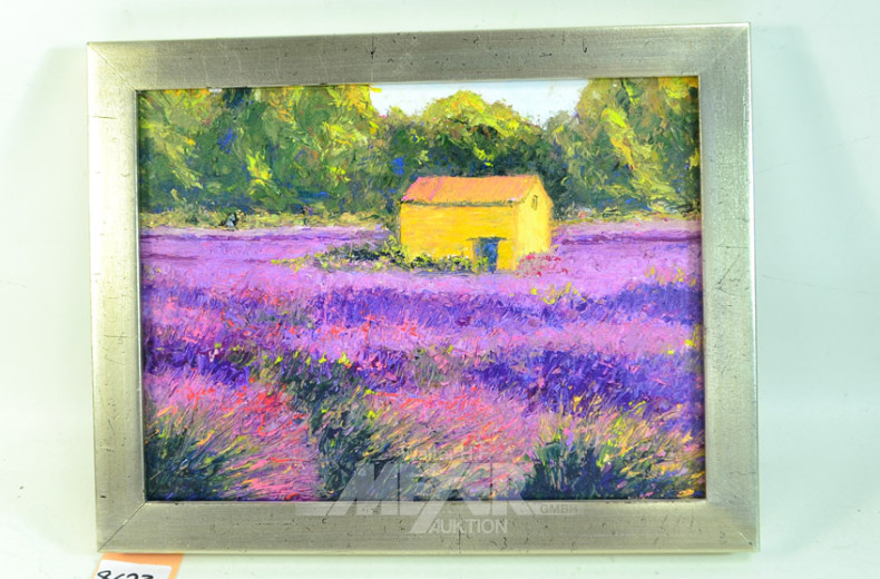 Bild ''Lavender Feld''