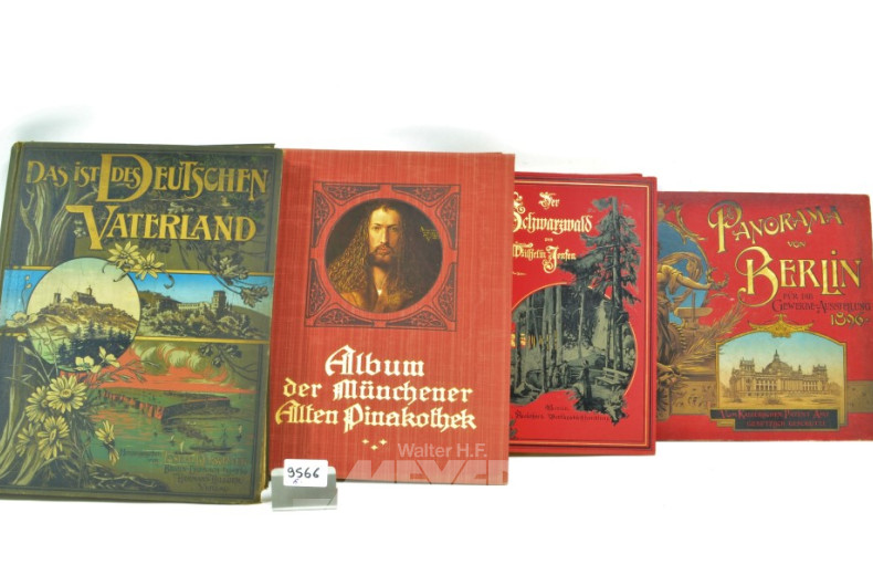 8 antiquarische Bücher u.a. ''Panorama von