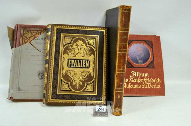 8 antiquarische Bücher u.a. ''Panorama von