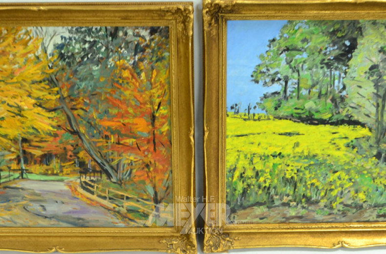 2 Gemälde ''Landschaften''