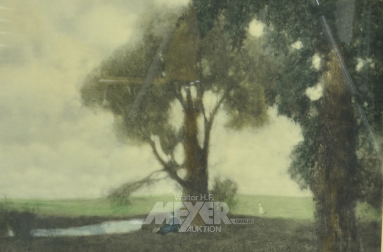 Druck ''Parkansicht'',