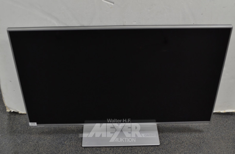 TV-Gerät, PANASONIC, mit FB