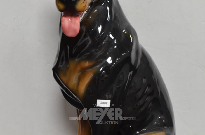 Porz.- Hund ''Rottweiler''