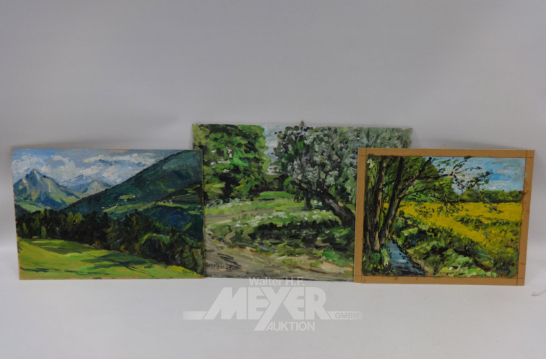 3 Gemälde ''Gebirgsansicht; Landschaft;