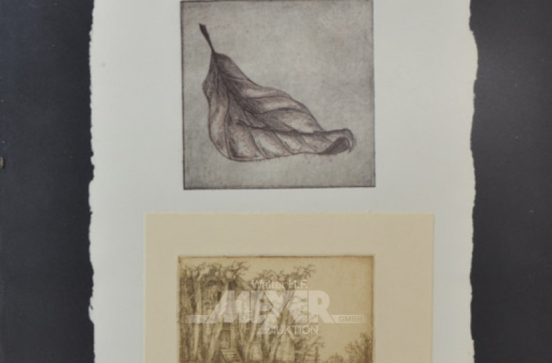 2 Bilder '' Blatt sowie Hausansicht ''