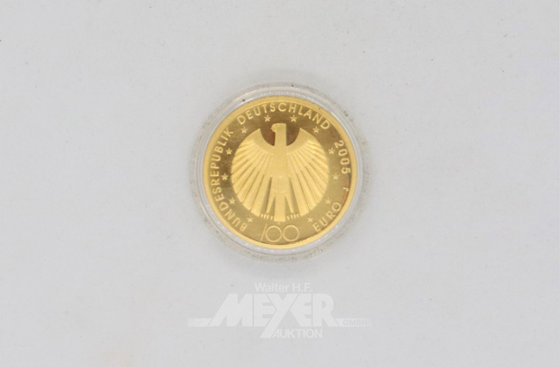 Goldmünze Euro 100,